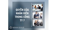 Quyền của nhân viên trong công ty ?