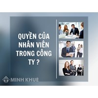 Quyền của nhân viên trong công ty ?