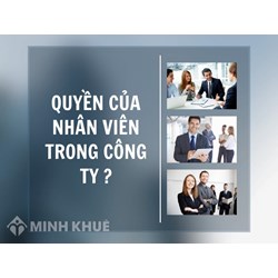 Quyền của nhân viên trong công ty ?