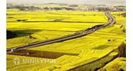 Quy định về hỗ trợ ổn định đời sống và sản xuất khi Nhà nước thu hồi đất? Thẩm quyền thu hồi đất