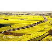 Quy định về hỗ trợ ổn định đời sống và sản xuất khi Nhà nước thu hồi đất? Thẩm quyền thu hồi đất