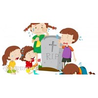 Khi thực hiện thủ tục sang tên nhà đất phải nộp những loại thuế gì ? 