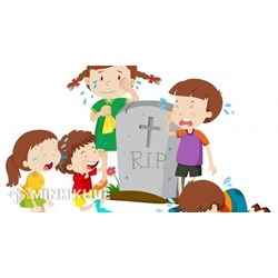 Khi thực hiện thủ tục sang tên nhà đất phải nộp những loại thuế gì ? 