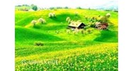 Chuyển nhượng quyền sử dụng đất đối với đất đứng tên đồng sở hữu ?