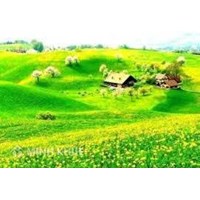 Chuyển nhượng quyền sử dụng đất đối với đất đứng tên đồng sở hữu ?