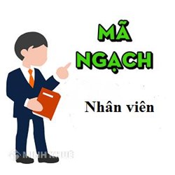 Thay đổi mã ngạch nhân viên được quy định như thế nào?