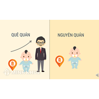 Quê quán trong giấy khai sinh được xác định như thế nào?