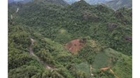 Đất rừng phòng hộ có được phép chuyển nhượng hay không?