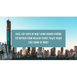 Chủ sở hữu bí mật kinh doanh không có quyền cấm người khác thực hiện các hành vi nào?