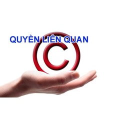Các đối tượng quyền liên quan được bảo hộ quy định như thế nào?