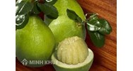 Quyền sử dụng đối với chỉ dẫn địa lý có được chuyển giao không?