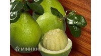 Quyền sử dụng đối với chỉ dẫn địa lý có được chuyển giao không?