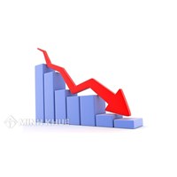 Không giảm vốn điều lệ khi các thành viên chưa góp đủ có bị xử phạt hành chính không ?