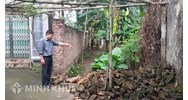 Hướng dẫn giải quyết tranh chấp ngõ đi chung theo luật đất đai?