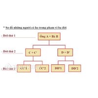 Cụ ngoại và cụ nội là hai anh em ruột thì đến đời cháu là đời thứ mấy?