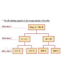 Cụ ngoại và cụ nội là hai anh em ruột thì đến đời cháu là đời thứ mấy?