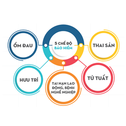 Tiền lương đóng bảo hiểm xã hội theo quy định mới ?
