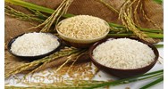Bán gạo có phải đăng ký kinh doanh và đóng thuế không? Bán hàng online phải đóng thuế gì ?