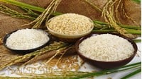 Buôn bán gạo có phải đăng ký kinh doanh và đóng thuế không?
