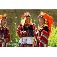 Thủ tục xác định lại dân tộc cho con trên giấy khai sinh