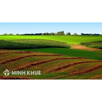 Điều kiện để được gia hạn thời gian sử dụng đất nông nghiệp ? Có thể gia hạn thời gian sử dụng đất được không ?
