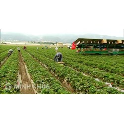 Chuyển đổi đất nông nghiệp sang đất có thổ cư thực hiện thế nào?