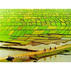 Điều kiện chuyển nhượng quyền sử dụng đất đối với từng loại đất theo quy định của pháp luật đất đai ? 