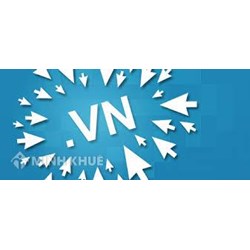 Hướng dẫn giải quyết tranh chấp tên miền quốc gia ".vn" theo quy định của pháp luật ?  