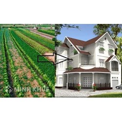 Quy định của luật đất đai về điều kiện chuyển mục đích sử dụng đất ? Mức thuế phải đóng khi chuyển mục đích sử dụng đất ?