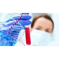 Ý nghĩa kết quả giám định ADN (gen) là gì? Giám định ADN ở đâu?