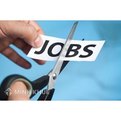 Giải đáp thắc mắc của người lao động về bảo hiểm xã hội về chế độ thai sản, cắt giảm nhân sự tham gia bảo hiểm xã hội  ?
