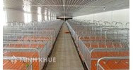 Có thể tự ý xây dựng chuồng trại chăn nuôi trên đất nông nghiệp hay không ?