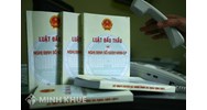 Các công ty con có được tham dự gói thầu của nhau?