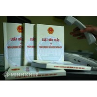 Các công ty con có được tham dự gói thầu của nhau?