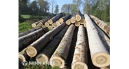 Danh mục theo bảng mã HS các loại gỗ tròn, gỗ xẻ cấm xuất khẩu
