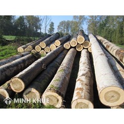 Danh mục theo bảng mã HS các loại gỗ tròn, gỗ xẻ cấm xuất khẩu