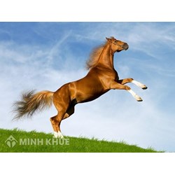 Danh mục động vật trên cạn và sản phẩm động vật trên cạn phải kiểm dịch