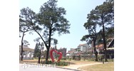Rủi ro pháp lý của việc nhờ người đứng tên mua đất? Nhờ mua đất có đòi lại được không?