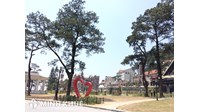 Rủi ro pháp lý của việc nhờ người đứng tên mua đất? Nhờ mua đất có đòi lại được không?