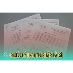 Chủ doanh nghiệp cần xin cấp phiếu lý lịch tư pháp số 1 hay số 2 ?