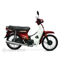 Bị lừa mua xe máy giấy tờ giả cần phải làm gì? Kiện ở đâu?