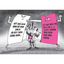 Bình luận khoa học: Nghĩa vụ dân sự ?
