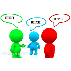 Giám đốc công ty TNHH 2 thành viên trở lên có phải đóng bảo hiểm xã hội không ?