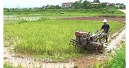 Lấn chiếm đất đất trồng lúa bị xử phạt bao nhiêu và biện pháp khắc phục hậu quả là gì ?