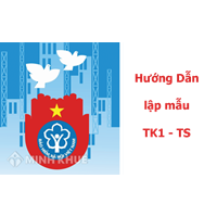 Hướng dẫn lập Mẫu Tờ khai tham gia, điều chỉnh thông tin bảo hiểm xã hội, bảo hiểm y tế (Mẫu TK1-TS)