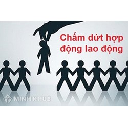Không được trả lương đúng thời hạn có được đơn phương chấm dứt hợp đồng?