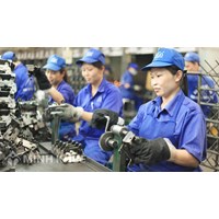 Người lao động cần phải làm gì khi người sử dụng lao động đơn phương chấm dứt hợp đồng lao động ? 