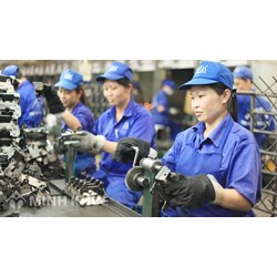 Người lao động cần phải làm gì khi người sử dụng lao động đơn phương chấm dứt hợp đồng lao động ? 