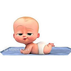 Chế độ thai sản đối với lao động nữ khi sinh non, thai chết lưu?