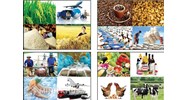 Nhóm ngành Nông nghiệp, Lâm nghiệp và Thủy sản theo quy định mới